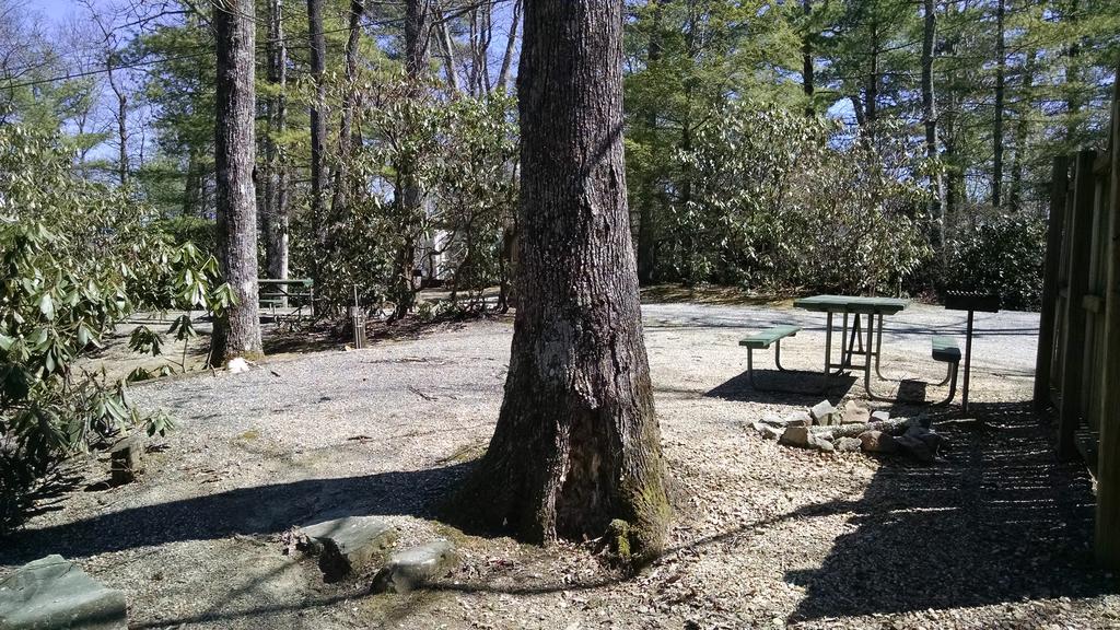 Campsite Campground, Rv Park, And Linville Falls