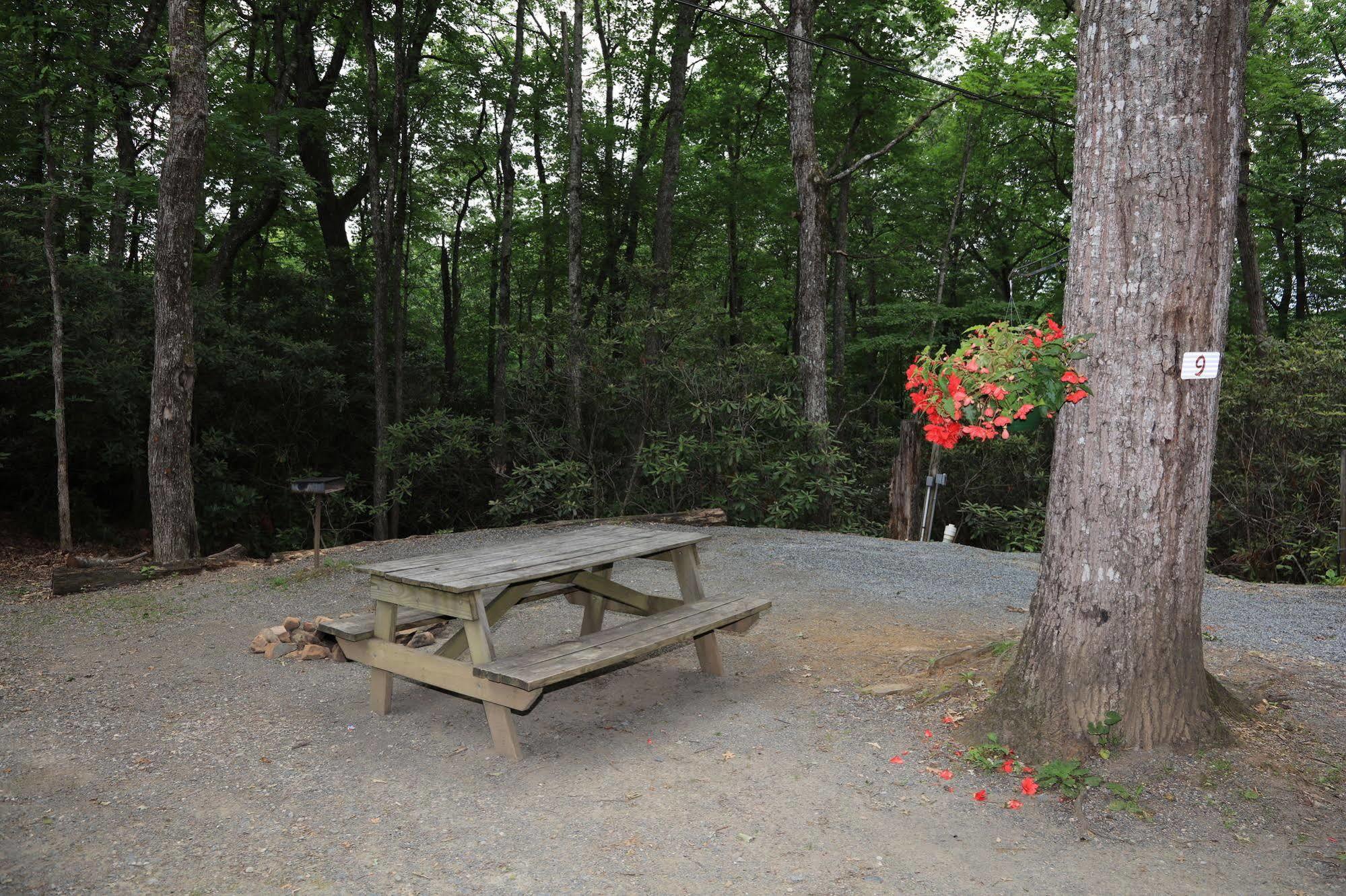 Campground, Rv Park, And Campsite